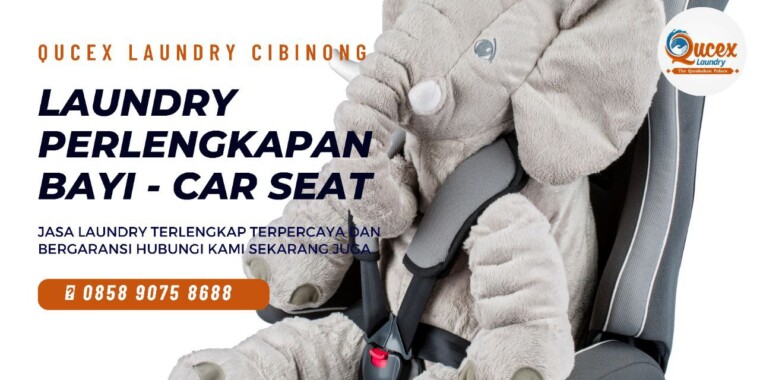 laundry Car Seat Bogor
